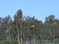 Cessna 182 Crash