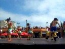 frevo ( vou jogar capoeira na beira do mar 2008)