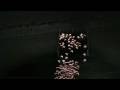 Extreme Shepherding - Samsung LED TV