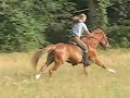 Iwona riding full gallop Iwona riding full gallop