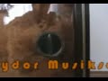 Musiktruhe Polydor auf Ebay bei stonehenge4000