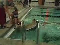 CARDBOARD CANOES CAR and KATIE WEB.mov