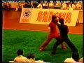 A Tribute To Wang Jian Jun - Wushu - Old School A Tribute To Wang Jian Jun - Wushu - Old School
