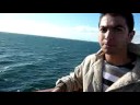 M�wenf�tterung