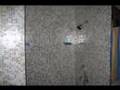 Proffesional Tiling with Bisazza Tiles