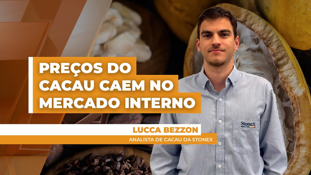 Volatilidade no mercado internacional do cacau continua, mas preços caem no mercado interno