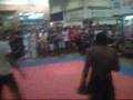 aowushu Sanshou X MuayTay
