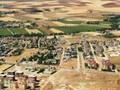 ÖRENLİ