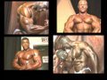 Bodybuilding-bodybui