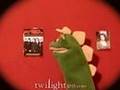TwilightGuy.com -- Dragons Discuss The Twilight Guy