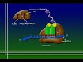 RNa to Protein 3 RNa to Protein 3