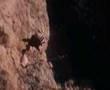 Aguila Real A Cabra Montes