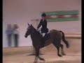 5yo Grand Prix
