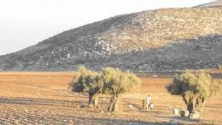 قرية تياسير قرية تياسير
