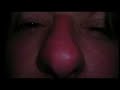 na kamenjima-cudna pcela