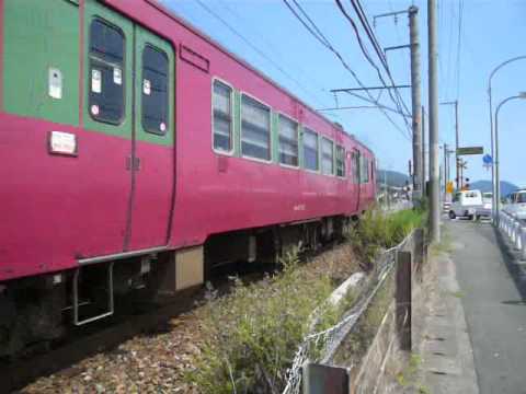 今津踏切そばで撮るキハ41
