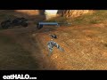 warthog incidnt