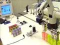 CRS Robot with Computer Vision