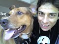 Layka E Nina - Homenagem � Voc�s Cachorras.