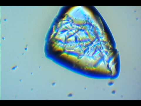 how to dissolve raw sugar