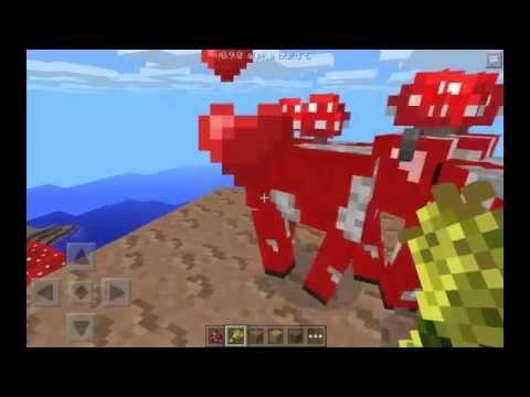 how to replant mushrooms in minecraft pe