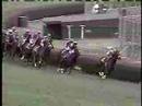 2000 Breeders' Cup Turf