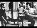 videos de Ving Tsun Lineage