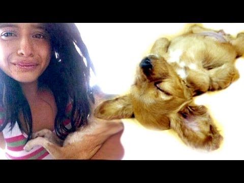 woman slaughte woman kill animal ring
