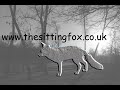 Grizzlies, Wolves, and other North American Carnivores