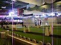 Springers flyball