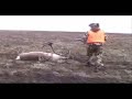 Caribou Hunting for CSAH by Slogen Outdoors Caribou Hunting for CSAH by Slogen Outdoors