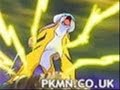 pokemon lovers pokemon lovers