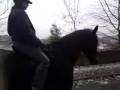 videos de Elle, first proper time on her back