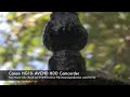 Canon HG10 Preview Footage