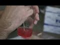The 23andMe Team Extracts DNA The 23andMe Team Extracts DNA