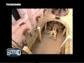 petite vautrage de sarah lelouch � fort boyard en 2005.