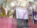 videos de festa das tintas/09!! ;D