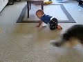 Dog and Baby Having a Blast