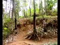 M.austin JB downhill
