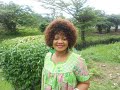 jackie kassorla biography jackie kassorla biography
