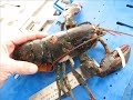 Lobster Trawl Disaster