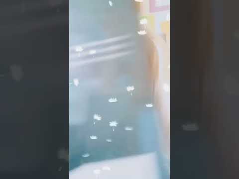 video-show