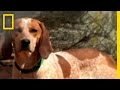 Dogtown: Not Without My Brother!