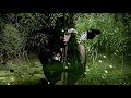 ADAMO LA NOCHE cover engybymy 2009.mpg