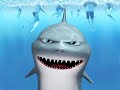 The Crazy Shark The Crazy Shark