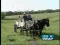 Cruisin' in Jo Daviess County