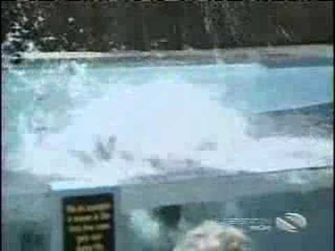 AFV - Babies, Children and Scares