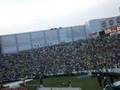Festa no Ciqueiro.. Palmeiras 3 x 1 Atletico/MG...