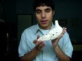 Review: The "Muse" (songbirdocarina.com)