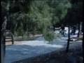 videos de Otan oi rodes horevoun